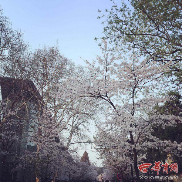 IMG_8263_调整大小.JPG