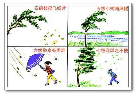 2012033013421696.jpg