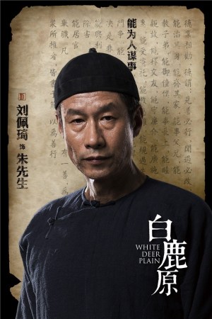 秦海璐生子后首亮相 为《白鹿原》减重30斤(图)