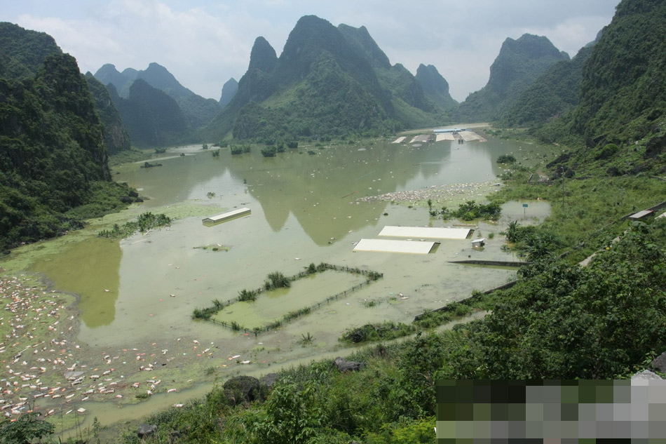 广西一养殖场被淹 1.6万余头死猪浸泡水中（组图）