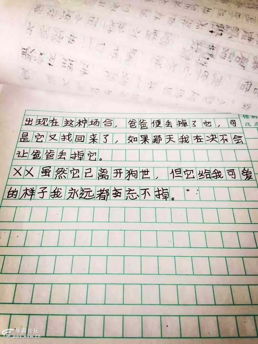 >> 文章内容 >> 狗作文|狗作文200字  写小狗的作文300字问:他又突然