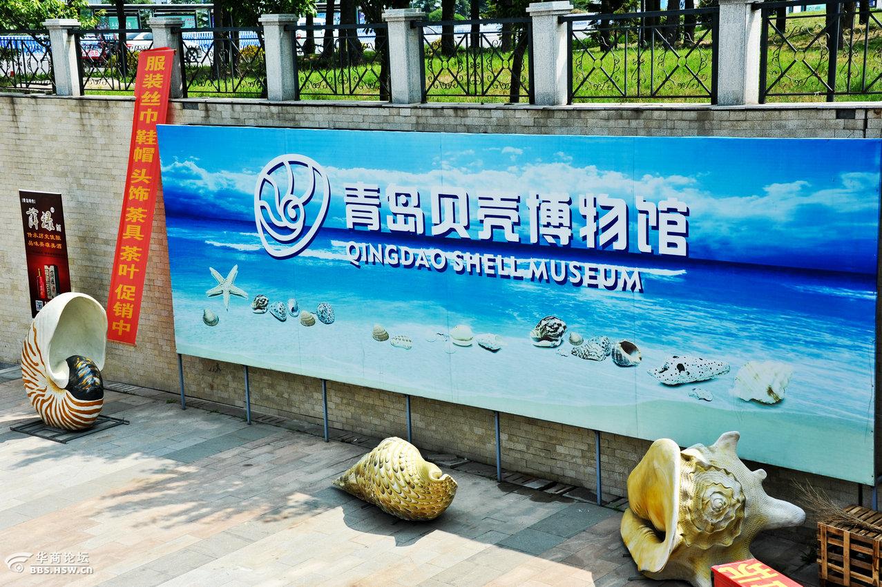 青岛贝壳博物馆二