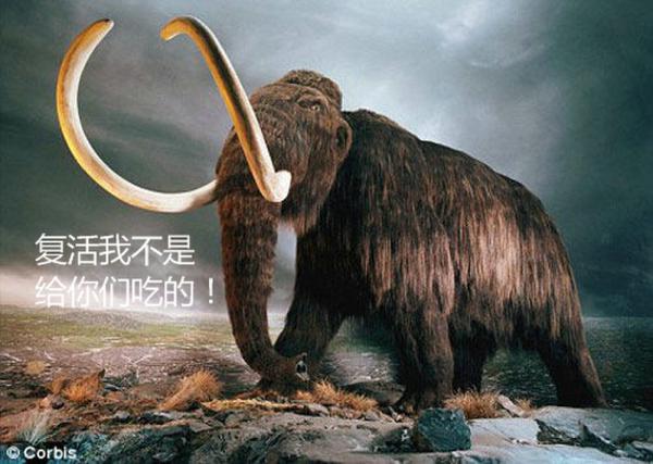 屡禁不止“僵尸凤爪”：吃得一时爽 吃完火葬场