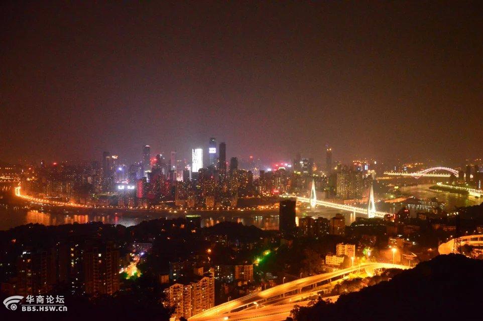 重庆一棵树