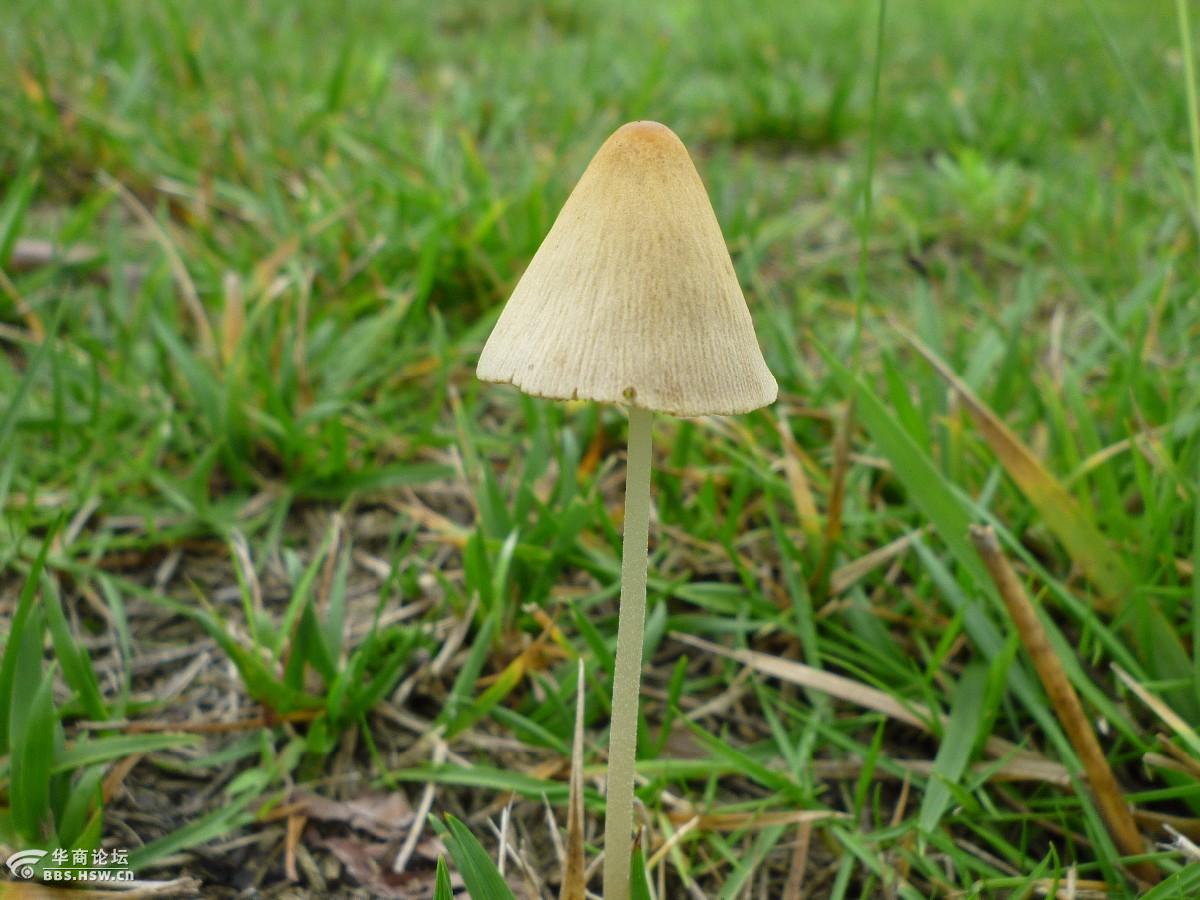 84pxx7xc.jpg?120