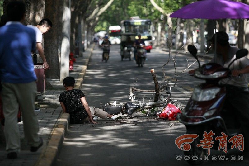 女子咸宁西路正骑车 被树上掉落树枝砸中