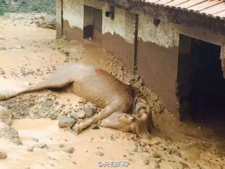 泥石流现场