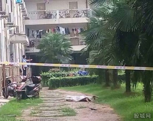 武大学生跳楼一男生坠楼身亡 或因未找到理想工作