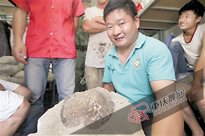 向师傅展示自己从工地挖出的疑似乌龟化石