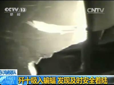 歼十战机起飞吸入蝙蝠 飞行员刚飞歼十不到2年