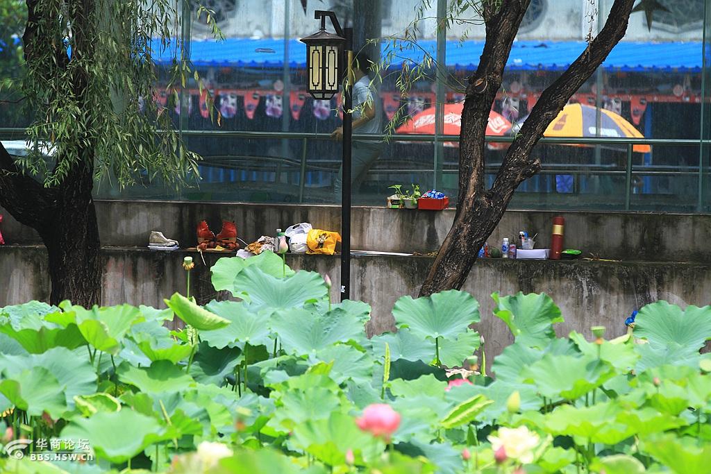 西安花园莲湖公园