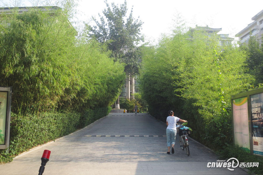 实拍西安最清凉的道路 芙蓉东路景点环绕绿树成荫