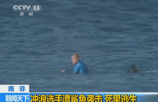 南非冲浪赛顶尖选手遭鲨鱼攻击 猛击鲨鱼脱险