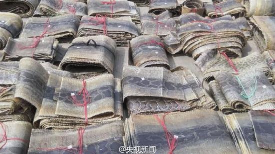 警方查获走私蟒皮价值近千万 蟒皮制品严禁贩卖