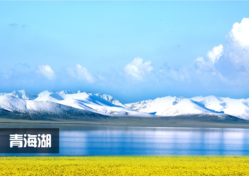 青海湖.jpg