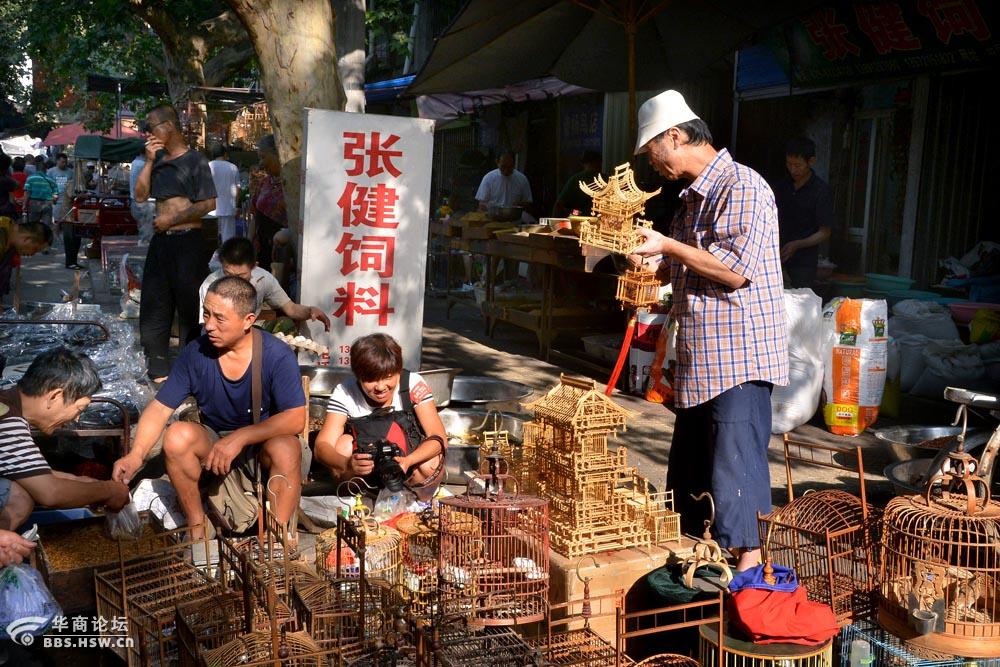【2015 寻找老西安--no11】玩鸟人的天地【西仓鸟市}