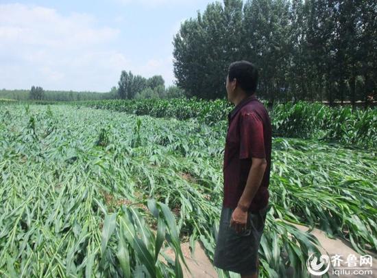 暴风雨过后