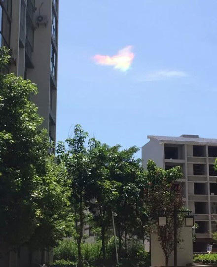 重庆天空惊现七彩祥云 形似浴火重生的七彩凤凰【组图】【7】
