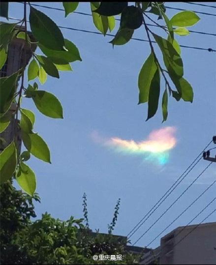 重庆天空惊现七彩祥云 形似浴火重生的七彩凤凰【组图】【8】