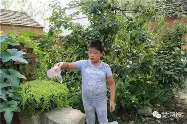 男孩4年前在街头乞讨救父 父亲卷走所有捐款失踪