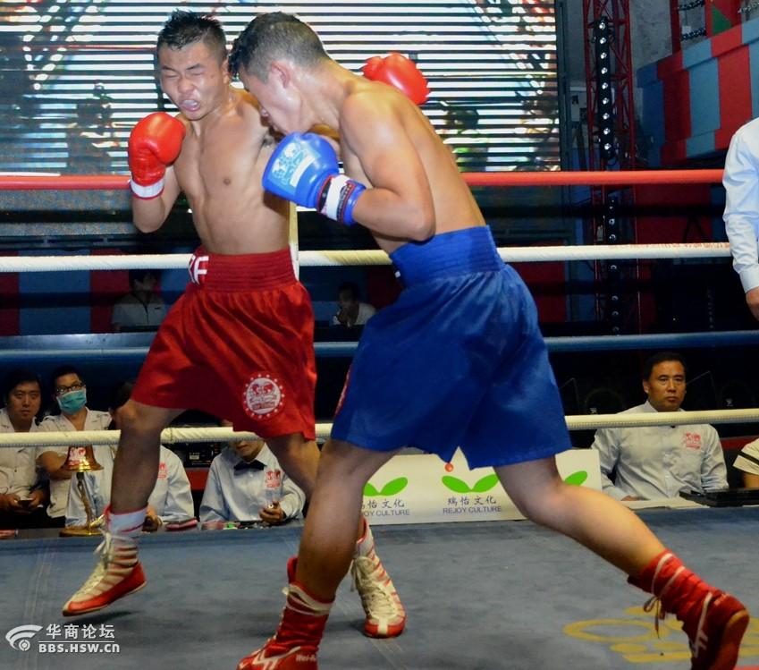 IBCA世界级拳击比赛掠影