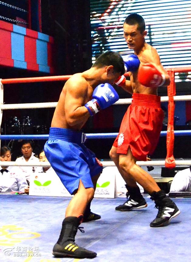 IBCA世界级拳击比赛掠影