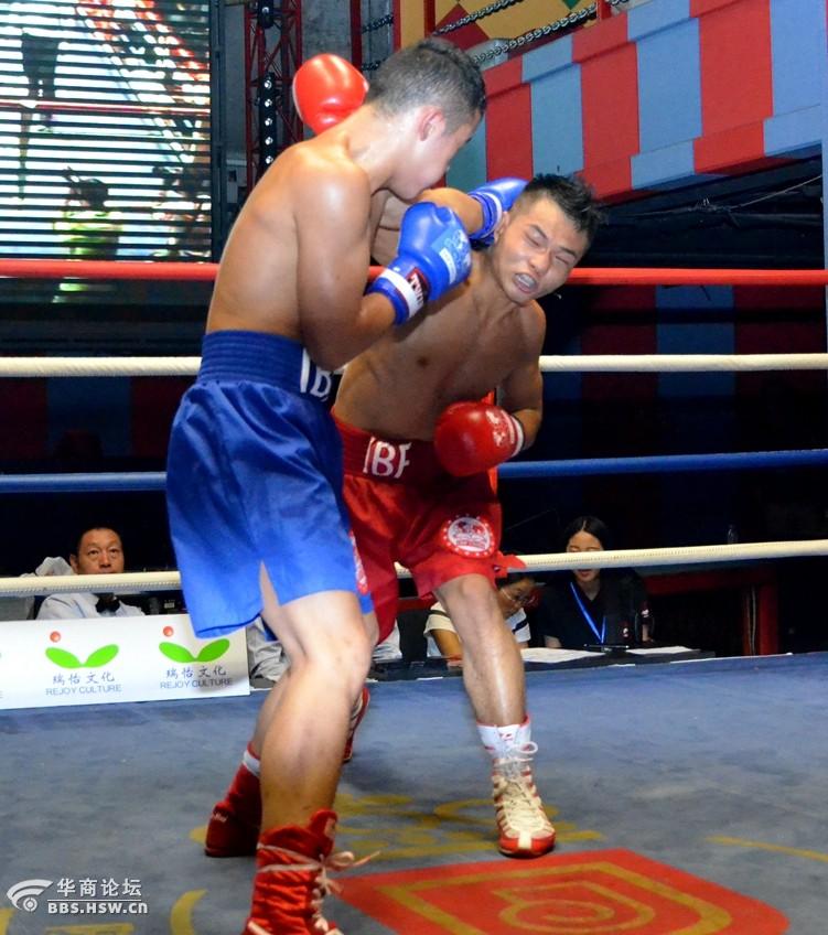 IBCA世界级拳击比赛掠影