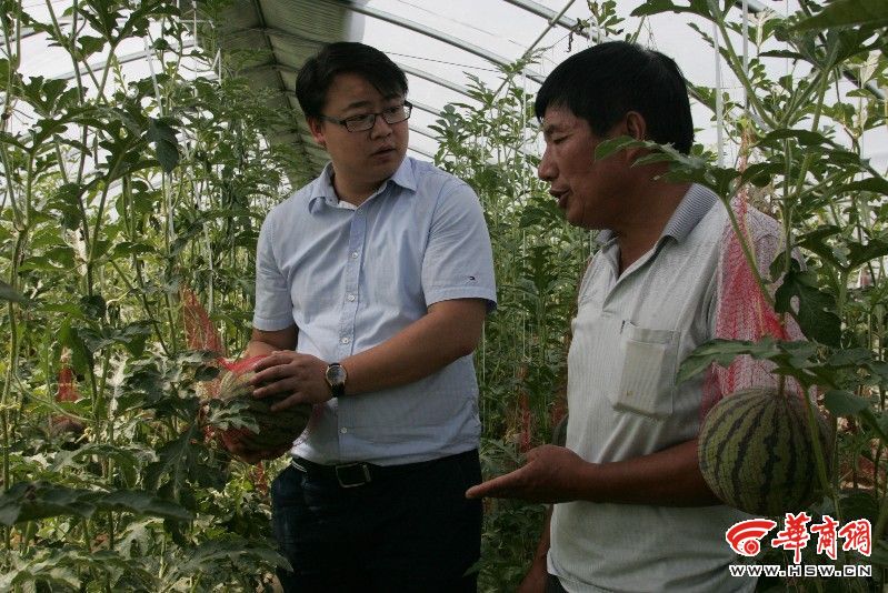 80后海归弃国外名企工作 回乡当现代农夫