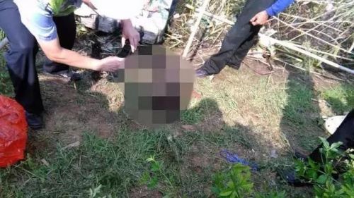 湖州惨烈车祸三名男性死亡 现场图片曝光事故还原