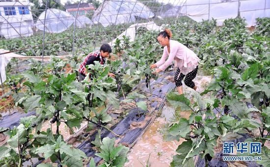 四川南充遭受特大暴雨袭击 村民抗灾自救