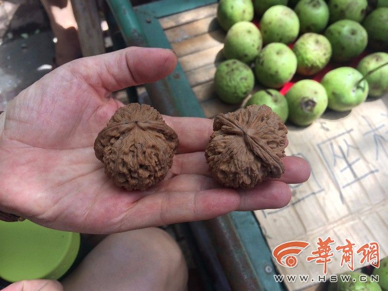 城会玩！青皮核桃里赌文玩有人花数万