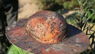 \
