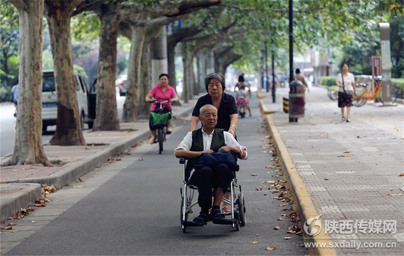 老两口每天必须在梧桐树下走一圈，这里有他们的美丽故事。见习记者 何璐 摄