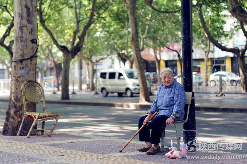 早饭后，奶奶坐在梧桐树下乘凉，等待着小孙子放学回家。见习记者 何璐 摄