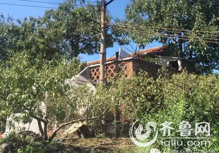 济南草丛现年轻女尸 目击者：衣衫不整不像自杀