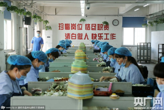 公交点钞中心