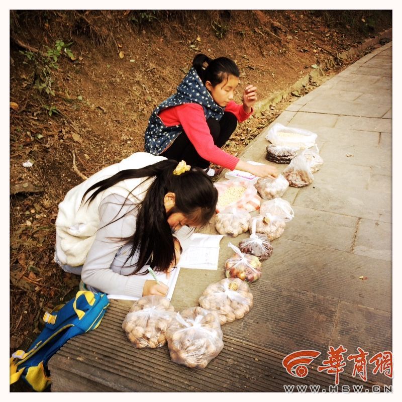 蓝田大山里边写作业边摆摊的“小商贩”