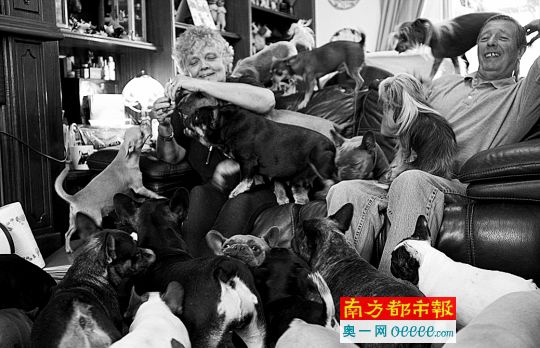 埃弗里特夫妇家中养了24条法国斗牛犬、10条小型斗牛梗、4条吉娃娃和3条中国冠毛犬。