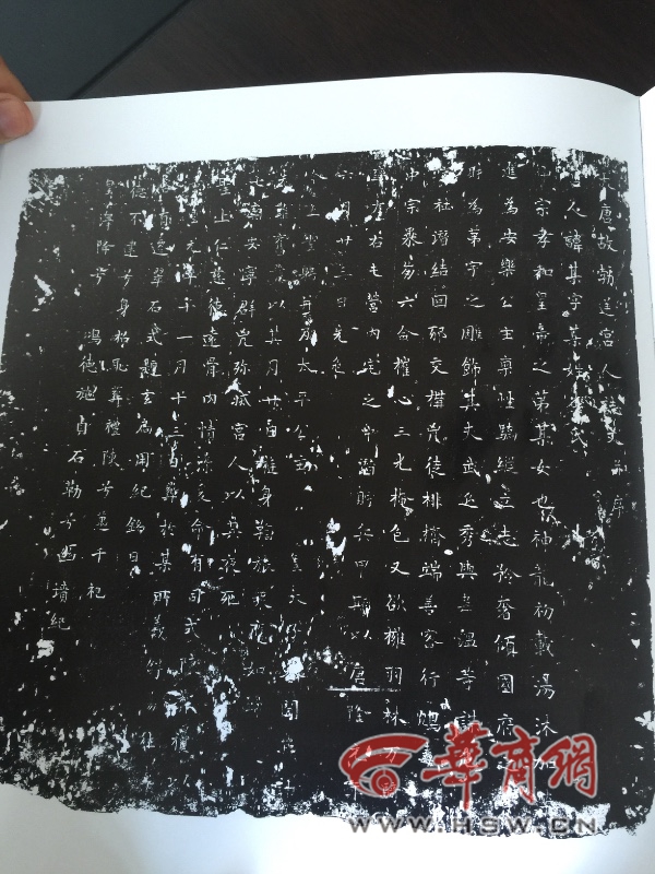 cxp5dfcq_副本.jpg