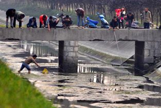 西安沣惠渠水位下降上百群众捞鱼 装备专业