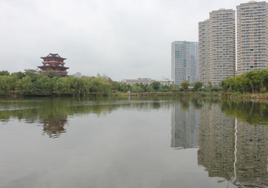 贫困市2亿建楼