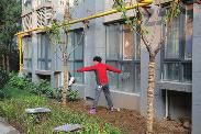 西翡丽城小区绿化影响一楼住户采光 业主挪树难