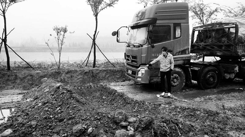 货车送货晚两天树苗快枯死 宝鸡货主挖坑将车