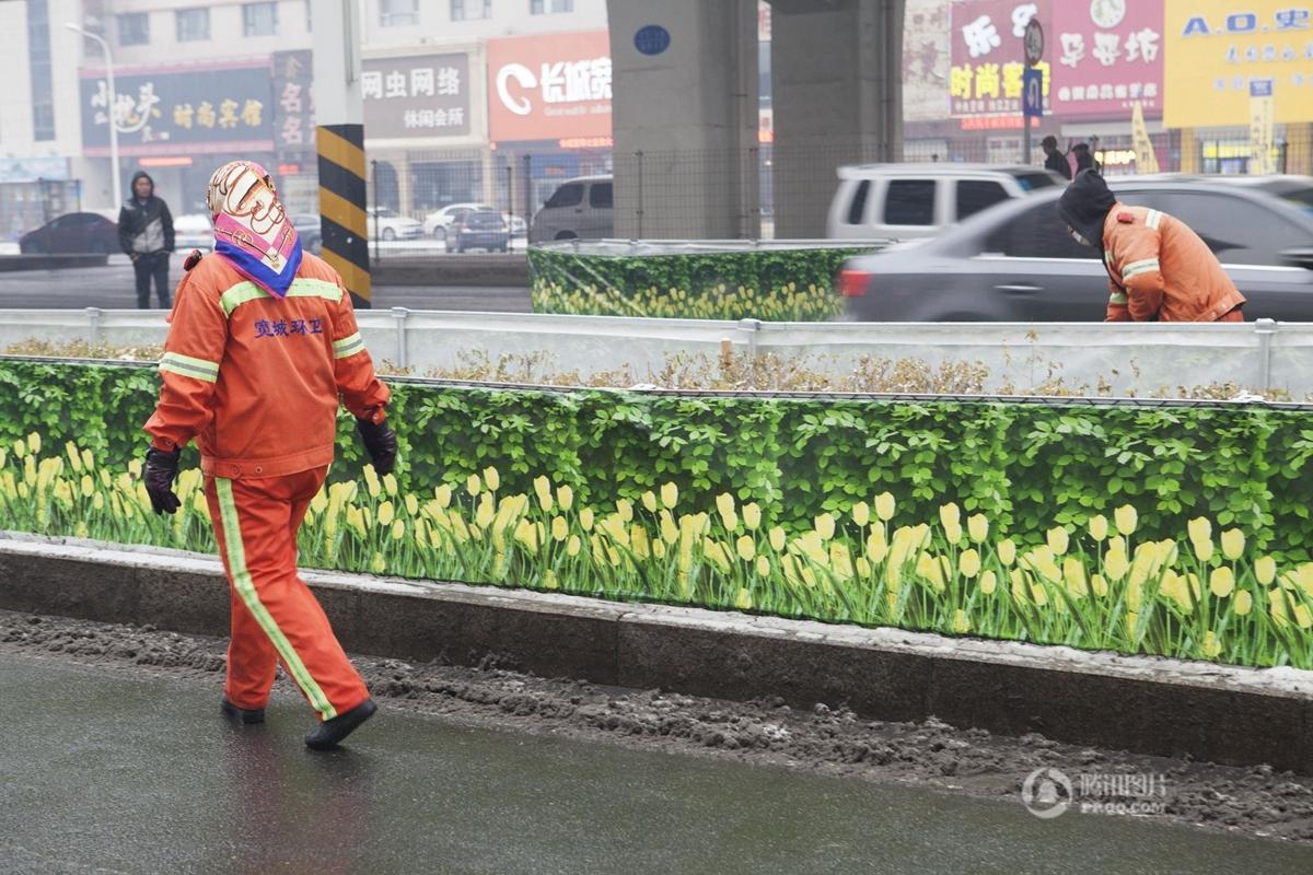 长春街头现仿真绿化带 塑料布塑料质地的塑料布