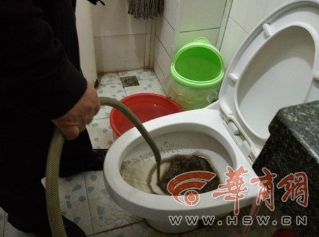 马桶.jpg