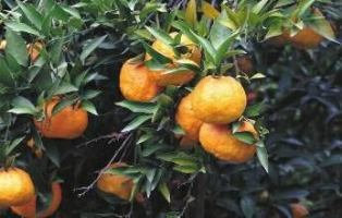 144858972885 79.jpg QQ图片20151127100140.jpg