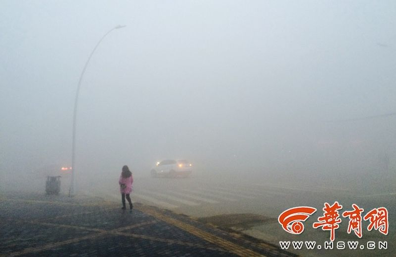 QQ截图20151202110008.png