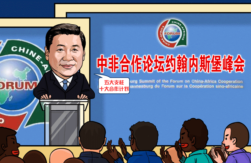 “习主席法国津巴布韦南非行”漫评⑤：“五大支柱”“十