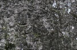 崖壁疑现6000年前符号
