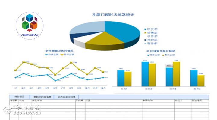 统计报表_软件业务收入统计报表(2)